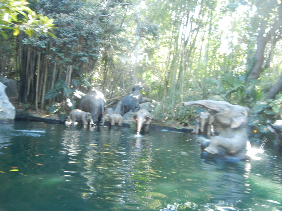 Disneyland Jungle Cruise in Adventureland